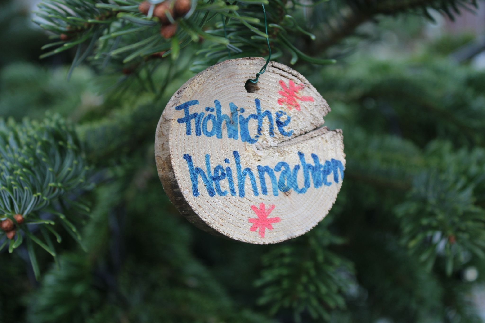 Weihnachtsbaum vor dem Rathaus steht!